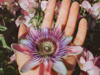 孝感鑫联鑫汽车服务有限公司