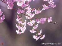 孝感鑫联鑫汽车服务有限公司