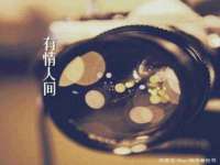 孝感鑫联鑫汽车服务有限公司