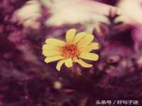 孝感鑫联鑫汽车服务有限公司