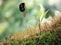 孝感鑫联鑫汽车服务有限公司