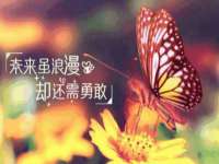 孝感鑫联鑫汽车服务有限公司