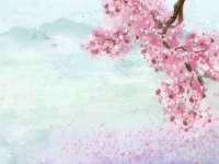 孝感鑫联鑫汽车服务有限公司