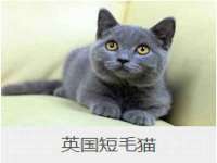 孝感鑫联鑫汽车服务有限公司