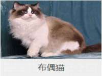 孝感鑫联鑫汽车服务有限公司