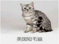孝感鑫联鑫汽车服务有限公司