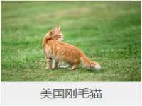 孝感鑫联鑫汽车服务有限公司