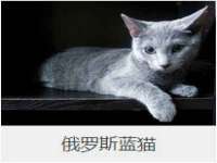 孝感鑫联鑫汽车服务有限公司
