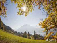 孝感鑫联鑫汽车服务有限公司