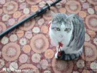 孝感鑫联鑫汽车服务有限公司