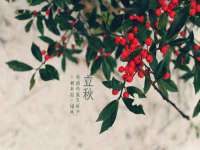 孝感鑫联鑫汽车服务有限公司