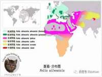 孝感鑫联鑫汽车服务有限公司