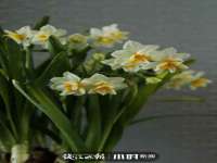 孝感鑫联鑫汽车服务有限公司