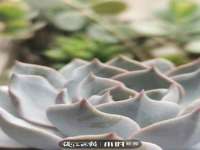 孝感鑫联鑫汽车服务有限公司