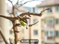 孝感鑫联鑫汽车服务有限公司