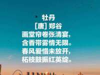 孝感鑫联鑫汽车服务有限公司