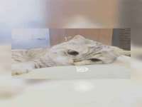 孝感鑫联鑫汽车服务有限公司