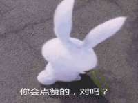 孝感鑫联鑫汽车服务有限公司