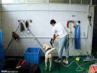 孝感鑫联鑫汽车服务有限公司