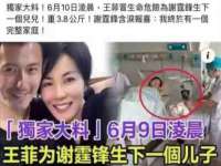 孝感鑫联鑫汽车服务有限公司