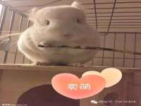 孝感鑫联鑫汽车服务有限公司