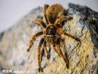 孝感鑫联鑫汽车服务有限公司