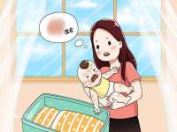 孝感鑫联鑫汽车服务有限公司