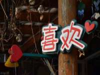 孝感鑫联鑫汽车服务有限公司