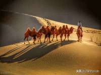 孝感鑫联鑫汽车服务有限公司