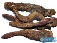 孝感鑫联鑫汽车服务有限公司
