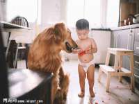 孝感鑫联鑫汽车服务有限公司