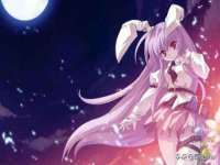 孝感鑫联鑫汽车服务有限公司