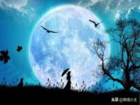 孝感鑫联鑫汽车服务有限公司