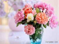 孝感鑫联鑫汽车服务有限公司