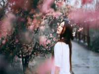 孝感鑫联鑫汽车服务有限公司